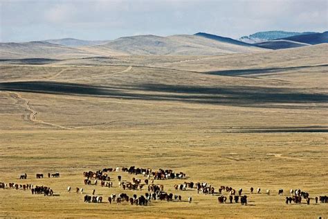 Discover Asian Lands: Explore Cultures and Traditions