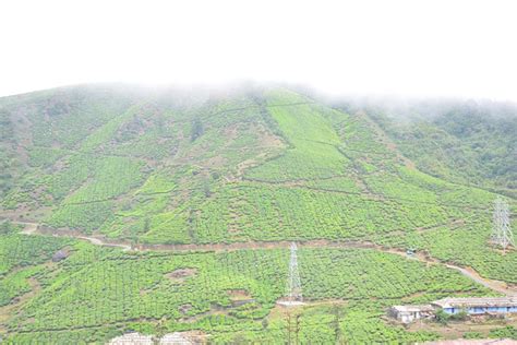 Pixabay Free High Resolution 的图像结果