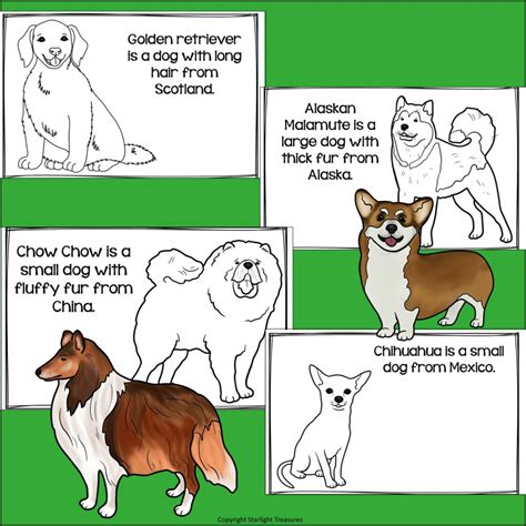 Dogs for 1st Graders Science 的图像结果