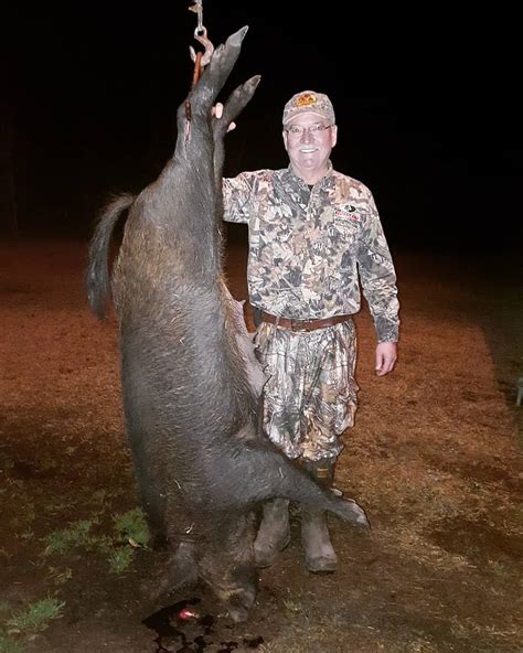 South Carolina Hog Hunting Pictures | Waccamaw Hunting Services