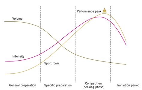Image result for Periodization Model Examples