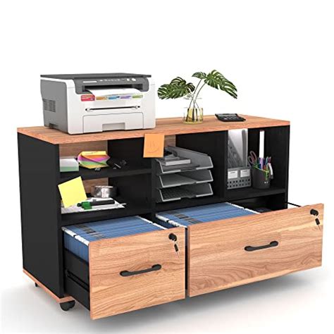 Buy semoic 2 Drawer File Cabinets for Home Office, Lockable Lateral ...