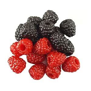 Buy RAYNAG 20pcs Artificial Raspberry Fake Simulation Fruit Home ...