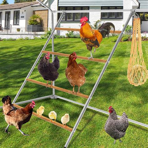 Amazon.com : Chicken Perch,55''L x 41''W Large Chicken Roost,Sturdy ...