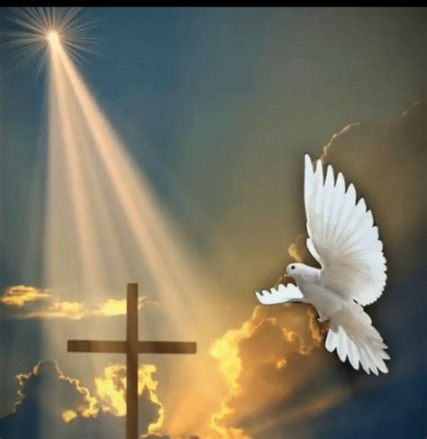 Pin de Myriam Plua en Citas | Tren de la vida, Descanse en paz frases ...