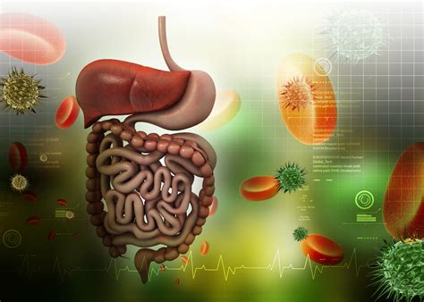 Digestion Navel Oil: A Natural Solution for Digestive Problems – Innate ...