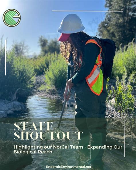 #endemicenvironmental #endemic #northerncalifornia #biology #compliance #biologywork #hiring ...