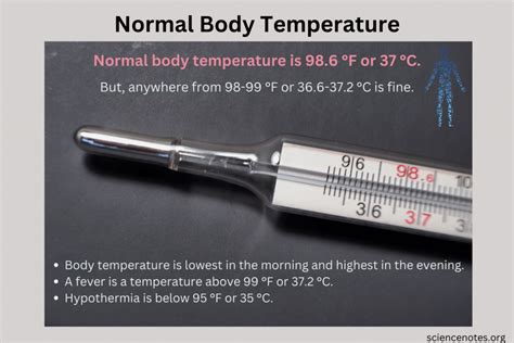 Normal Human Temperature 的图像结果