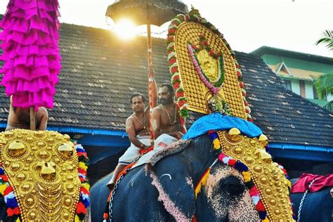 The Ultimate Guide To Kerala In November In 2024