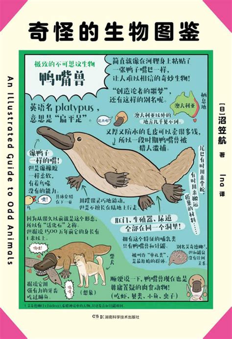 奇怪的生物图鉴 日韩话题性科普绘本，俘获地球上全人类的心 | 图书推荐