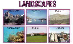 Landscape Types 的图像结果
