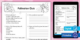 The Pollination Process Worksheet for K-2nd Grade