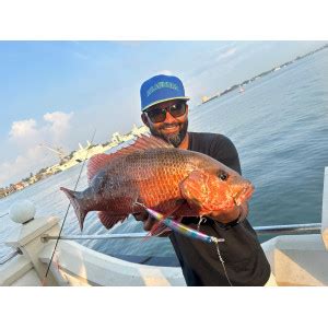 Best Fishing Tackle Online Store| International Brands | Kerala | India ...