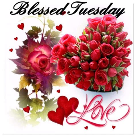 Blessed Tuesday Pictures, Photos, and Images for Facebook, Tumblr ...