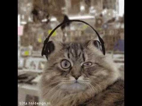 Image result for Cat Generator Control Module