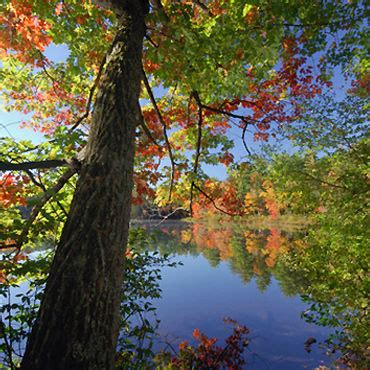 Oakbrook Properties - Home