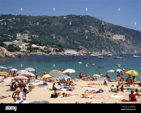 Busy Beach Scene 的图像结果