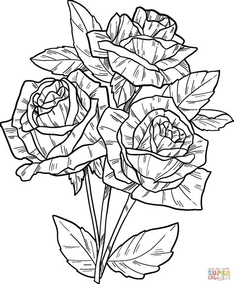 Coloring Sheets Of Roses - MIT Printable