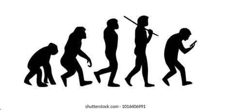 Funny Human Evolution Chart 的图像结果