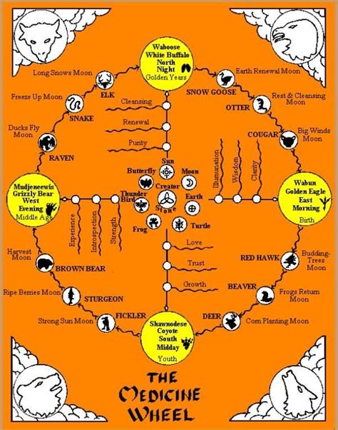 Native American Medicine Wheel Birthday Ideas