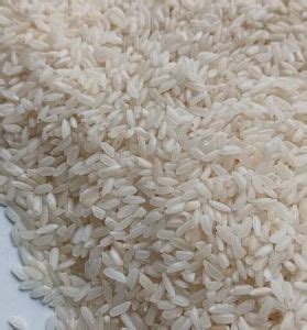 Premium Katarni Rice Manufacturer, Supplier from Kaimur