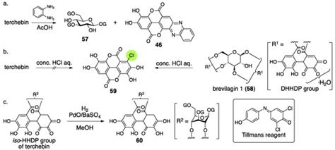 Structural Revisions in Natural Ellagitannins