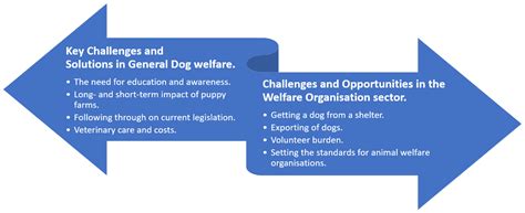 A Qualitative Exploration of Challenges and Opportunities for Dog ...