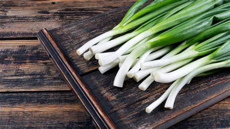 World’s Longest Vegetable Breaks Record: Taller Than An Average Indian ...