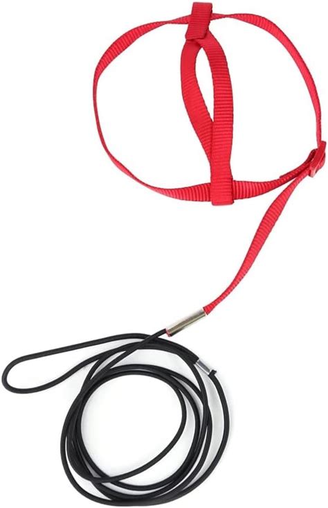 DONGKER Training Harness Leash for Birds - Suitable for India | Ubuy