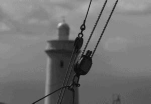 Image result for Using a Snatch Block for Felling a Tree