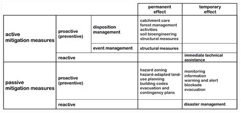 Conceptual Framework for Sediment Management in Torrents