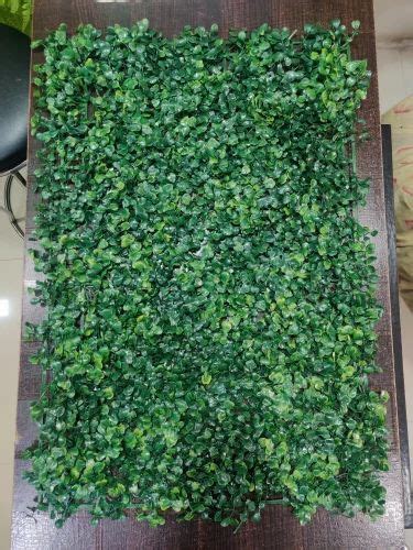 Artificial Vertical Garden Green Wall - Artificial Chana Green Boxwood ...