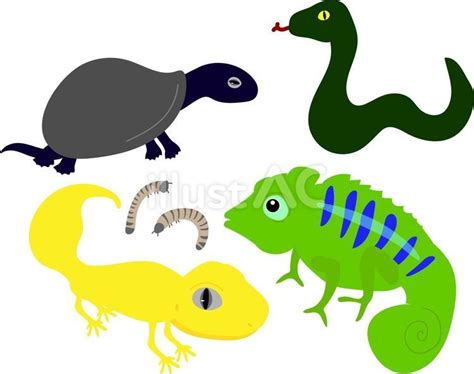 Image result for Read Python
