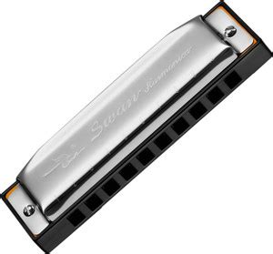 SWAN 10 Hole 20 Tone Diatonic Harmonica Key Of C with Box & Transparent ...