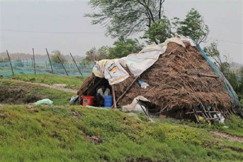 Pictures Showing The Aftermath Of Cyclone Amphan That Hits India ...