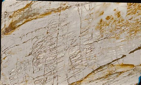Buy roma imperiale marble | Brown color marble for floor & wall | Nitco
