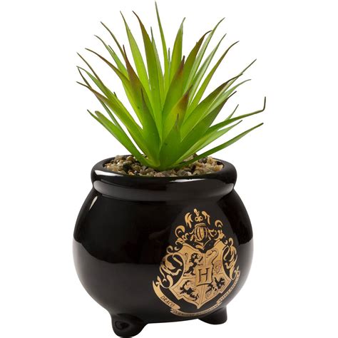 What Plant Is Known For Its Healing Properties at Harold Case blog