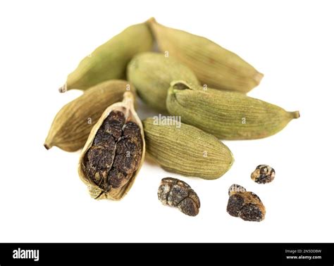 Soft focus on green cardamom seeds and pods on white background. The ...