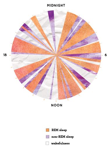 Narcolepsy Sleep Cycle Graph 的图像结果