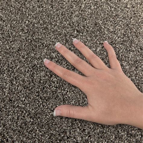STAINMASTER Tranquil Walk I Earthenware Brown 42-oz sq yard Triexta ...