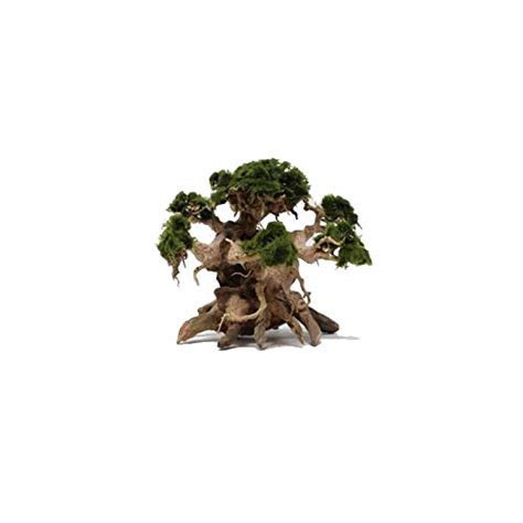 Sagar Aquarium Driftwood Bonsai Tree for Fish Aquarium Planted ...