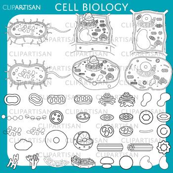 Biology Clip Art 的图像结果