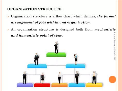 Organization. Examples 的图像结果