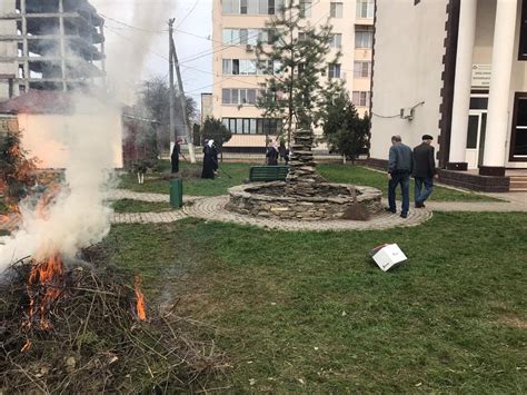 Студенты ЧГПУ провели субботник