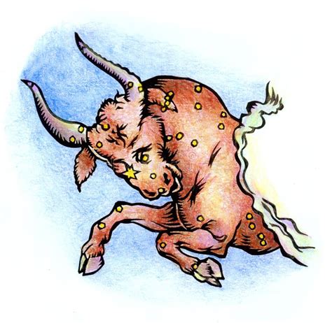 Taurus 的图像结果