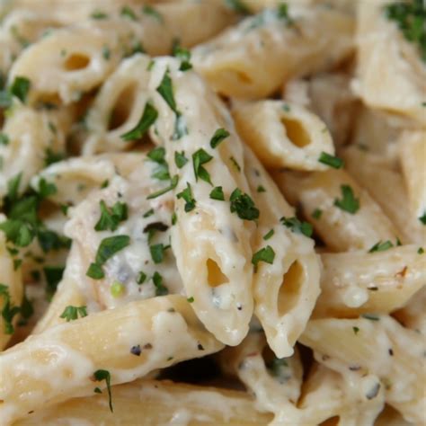 Penne Chicken Alfredo Fettuccine