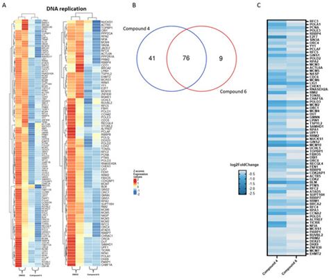 The Effect of Plastic-Related Compounds on Transcriptome-Wide Gene ...