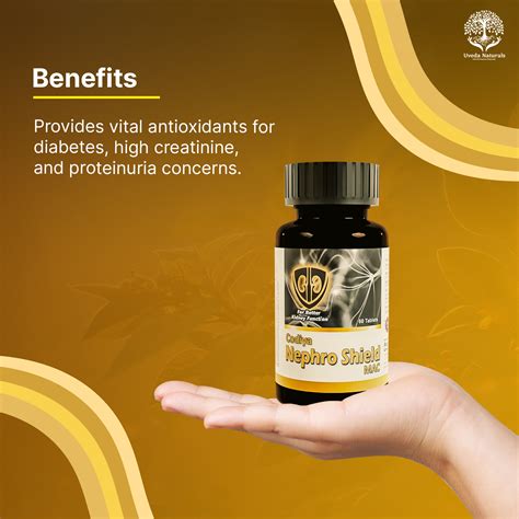 Codiya Nephroshield - Antioxidants for Kidney & Diabetic Care – Uveda ...