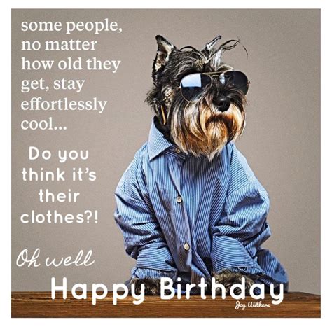 Funny birthday wishes quotes funny birthday messages – Artofit