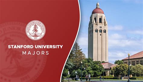 Stanford Career Office at Cristina Lee blog